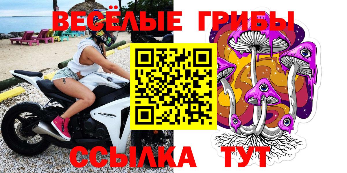 Псилоцибиновые грибы мухоморы Бугуруслан